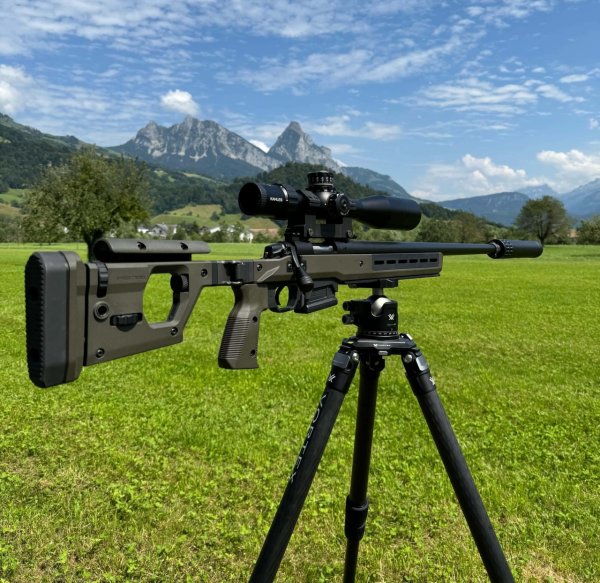 Precision V1 Bergara  | 26"